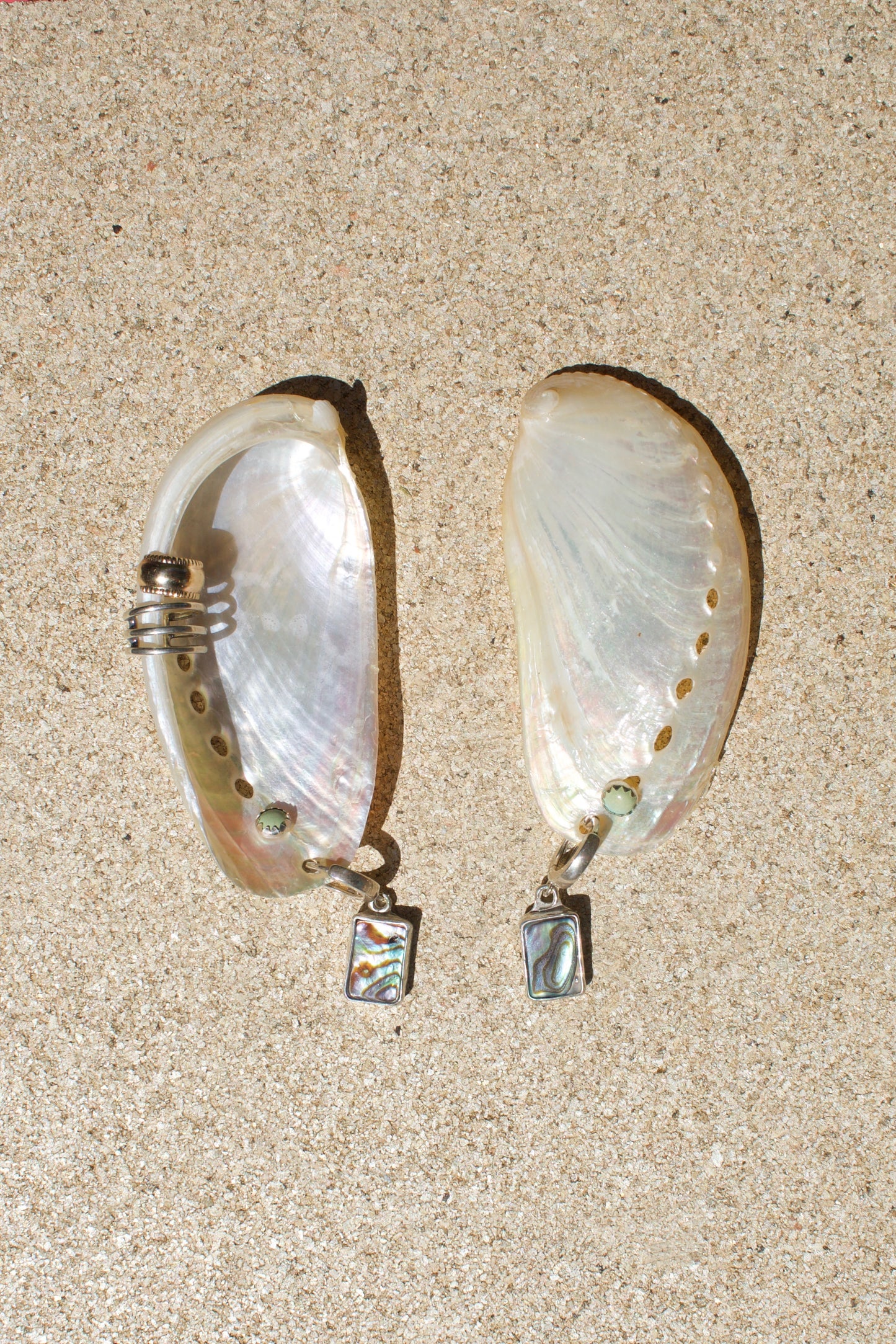 Abalone huggies